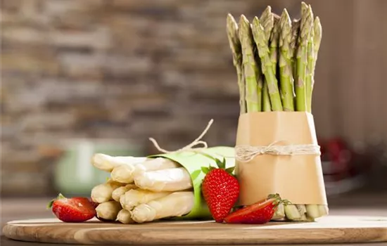 Asparagus officinalis Pacific Blue