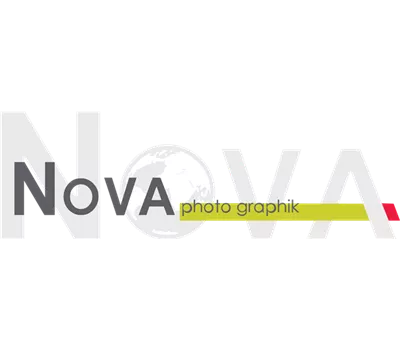 Rosa 'Scarlet Hit' (Miniaturrose)