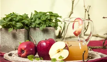 Combo Apple Tree