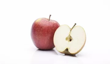 Combo Apple Tree